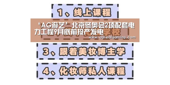 ‘AG游艺’北京冬奥会2项配套电力工程9月底前投产发电(图3) AG稳定