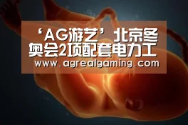 ‘AG游艺’北京冬奥会2项配套电力工程9月底前投产发电(图2) AG真人