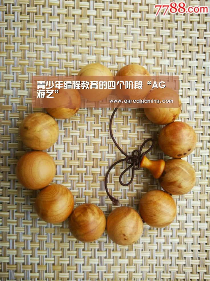 青少年编程教育的四个阶段“AG游艺”(图2) AG游艺