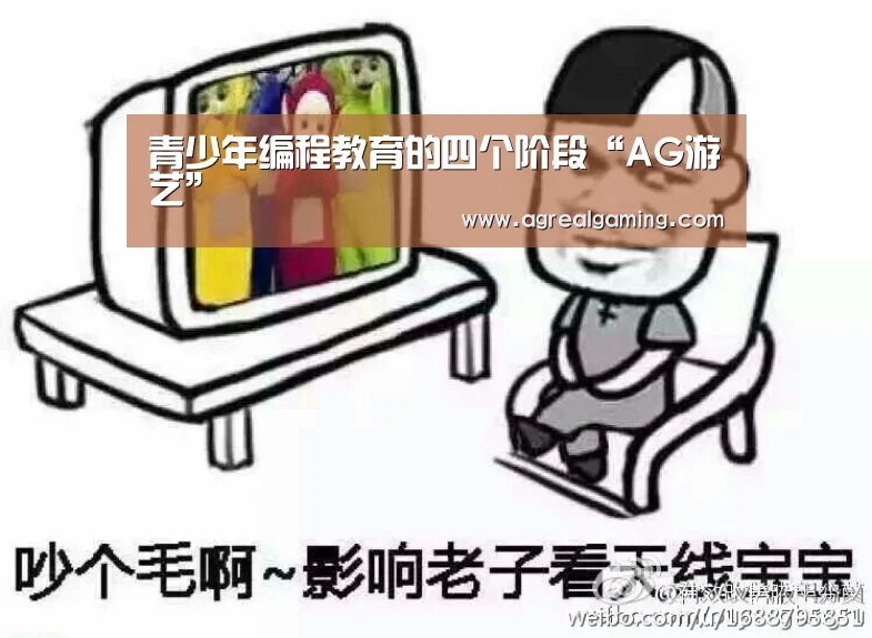 青少年编程教育的四个阶段“AG游艺”(图4) AG稳定