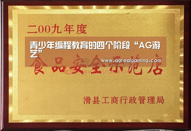 青少年编程教育的四个阶段“AG游艺”(图3) AG稳定