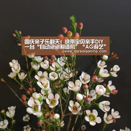 国庆亲子乐翻天!快带宝贝亲手DIY一台“自动泡泡制造机”“AG游艺”(图3) AG真人