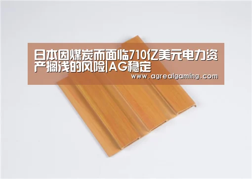 日本因煤炭而面临710亿美元电力资产搁浅的风险|AG稳定(图1) AG集团