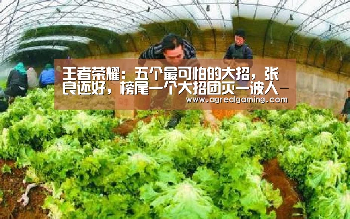 王者荣耀:五个最可怕的大招,张良还好,榜尾一个大招团灭一波人-AG游艺(图1) AG真人