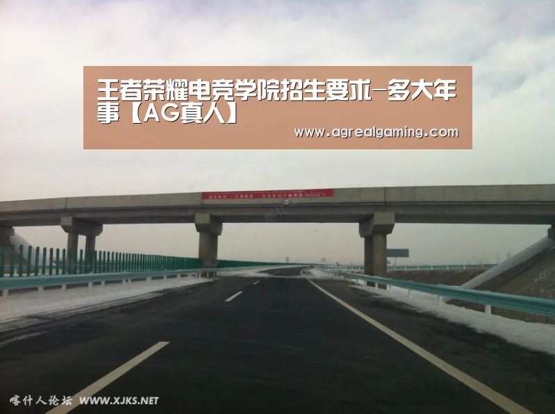 王者荣耀电竞学院招生要求-多大年事【AG真人】(图1) AG真人