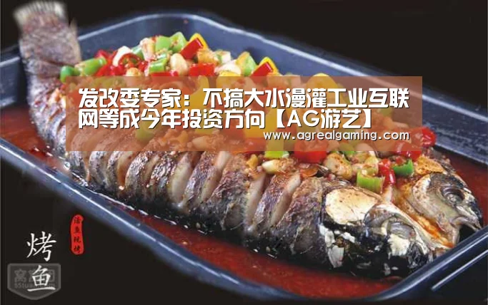 发改委专家:不搞大水漫灌工业互联网等成今年投资方向【AG游艺】(图1) AG稳定