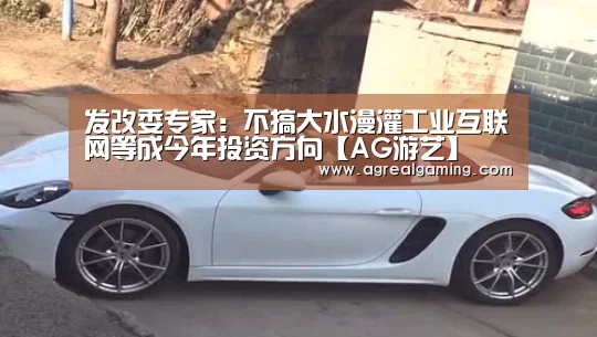 发改委专家:不搞大水漫灌工业互联网等成今年投资方向【AG游艺】(图2) AG稳定