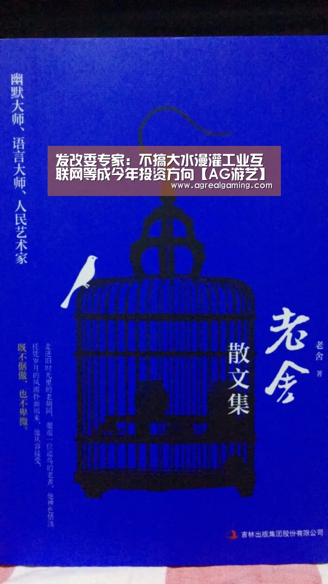 发改委专家:不搞大水漫灌工业互联网等成今年投资方向【AG游艺】(图3) AG集团