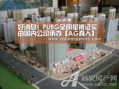 好消息!PUBG全明星被证实由国内公司承办【AG真人】(图4) AG游艺