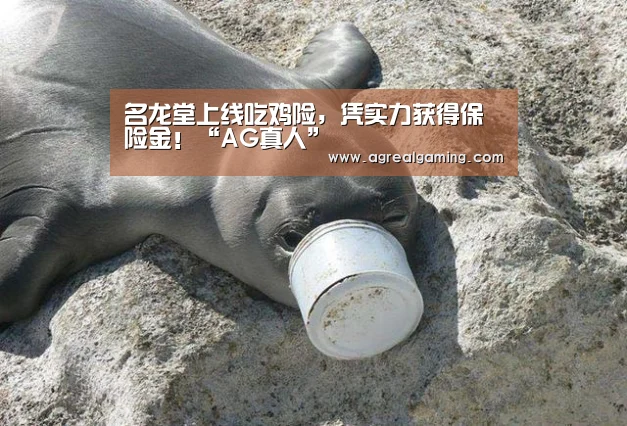 AG真人