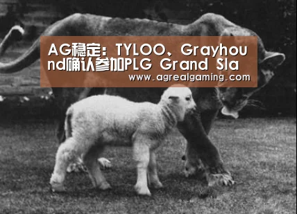 AG游艺