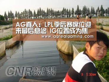 AG真人:LPL季后赛席位迎来最后悬念 IG位置成为焦点(图1) AG真人