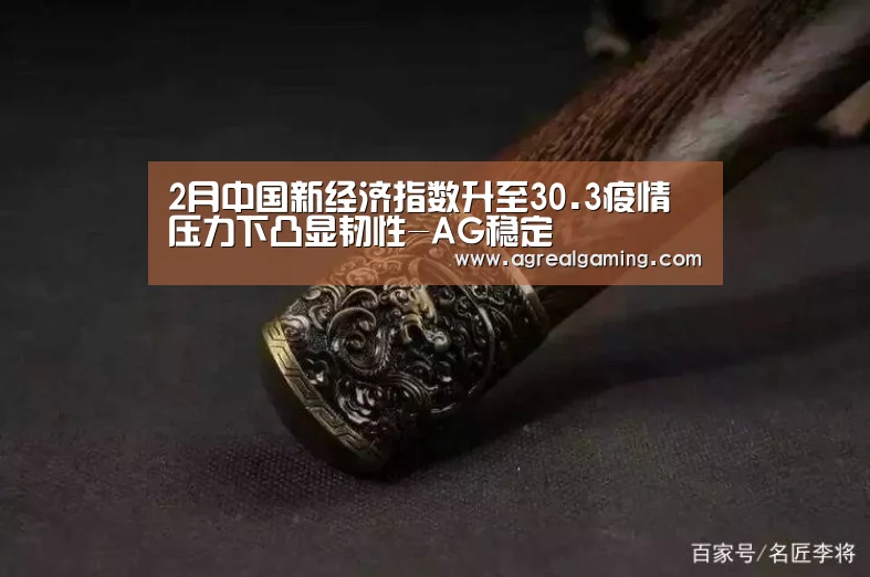 2月中国新经济指数升至30.3疫情压力下凸显韧性-AG稳定(图3) AG集团