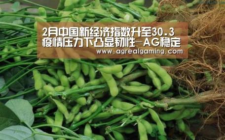 2月中国新经济指数升至30.3疫情压力下凸显韧性-AG稳定(图4) AG集团