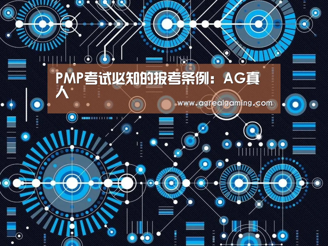 PMP考试必知的报考条例:AG真人(图4) AG集团