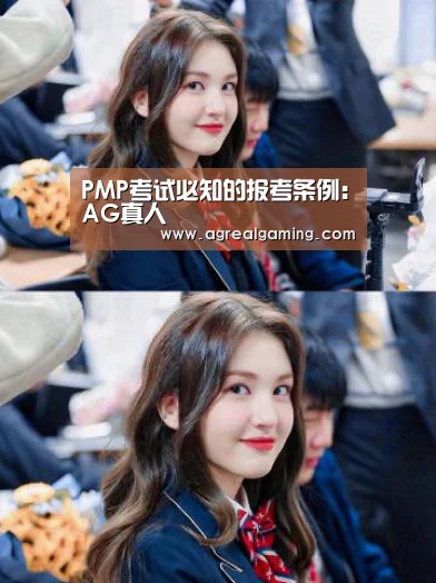 PMP考试必知的报考条例:AG真人(图2) AG稳定