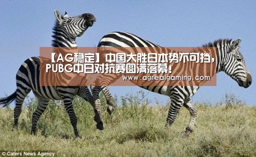 AG稳定